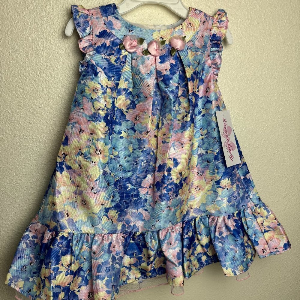 Bonnie Baby Girls 24M Floral Dress w/ panty  Satin Roses 2pc NWT